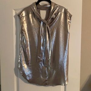 Fun, shiny holiday blouse.